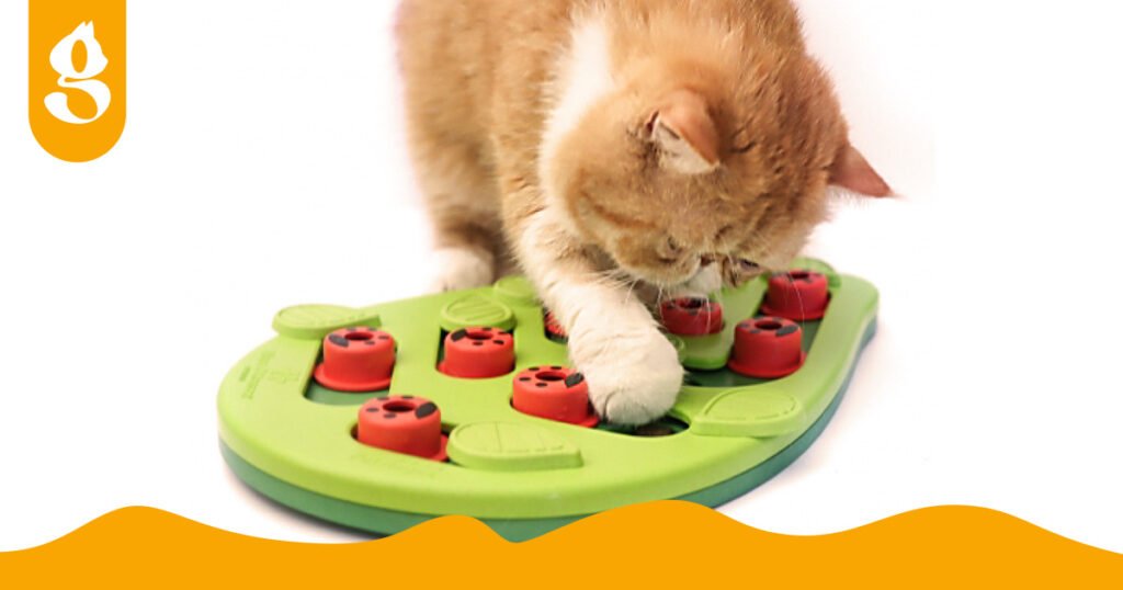 Gato brincando com um brinquedo interativo de comida.