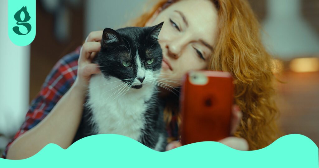 Gato posando para uma selfie tirada por sua dona.